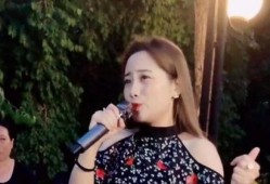 最新女歌手爆料,真实与虚假的较量